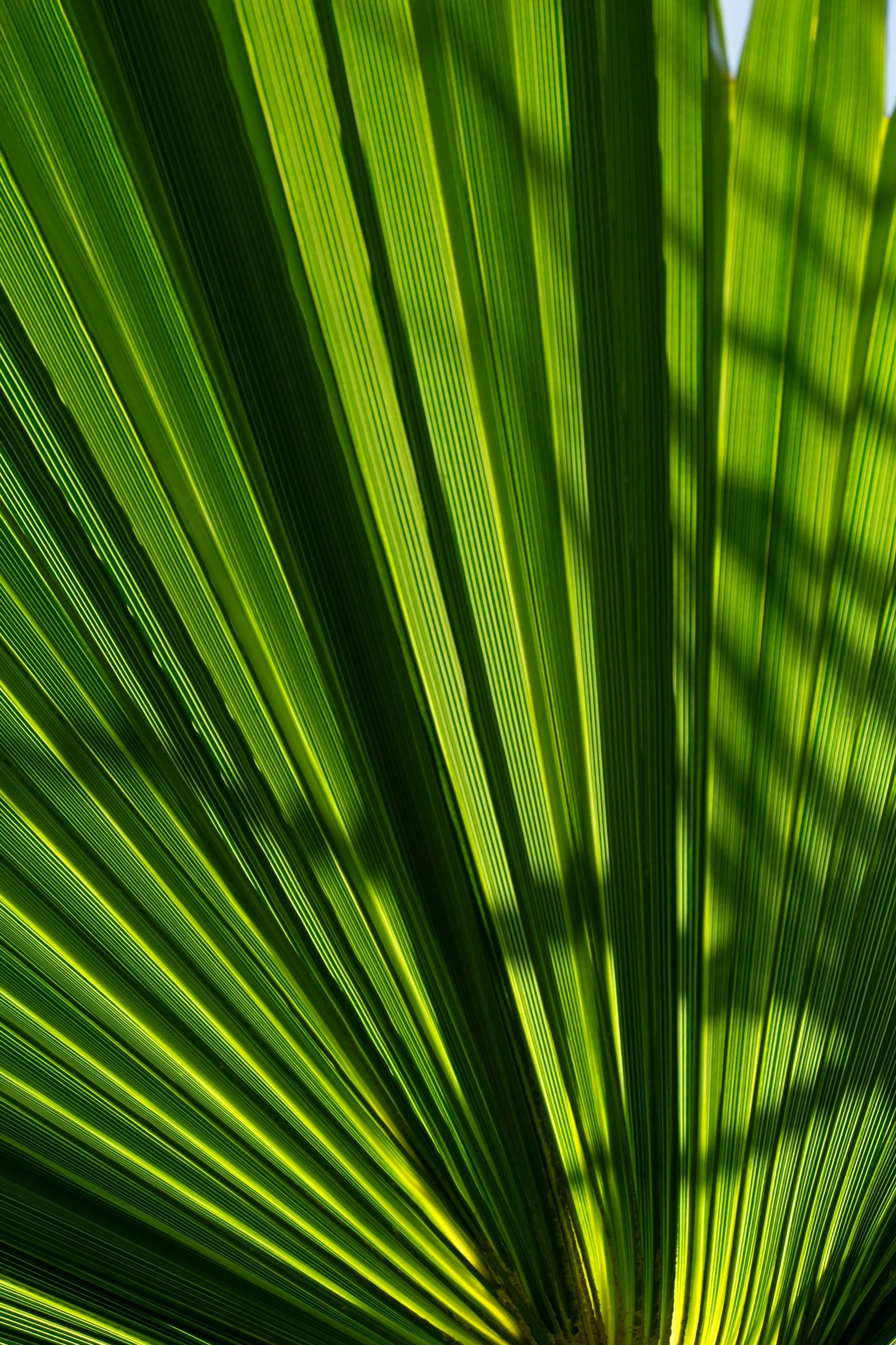 Ruhe und Regeneration – Nervensystem regulieren im Coaching