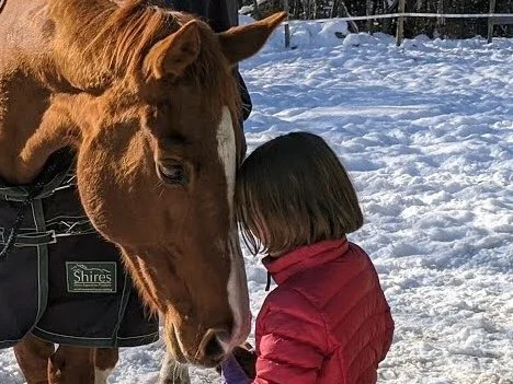 Homeschooling IEP Process