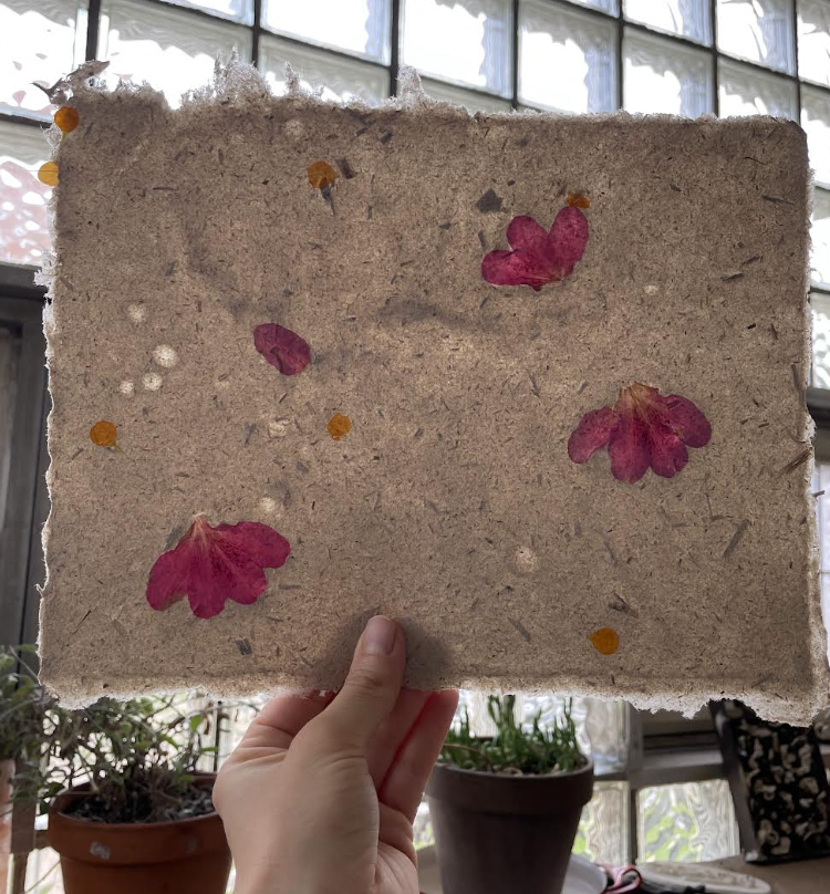 Screenshot 2026-01-31 at 5.40.07 PM.png