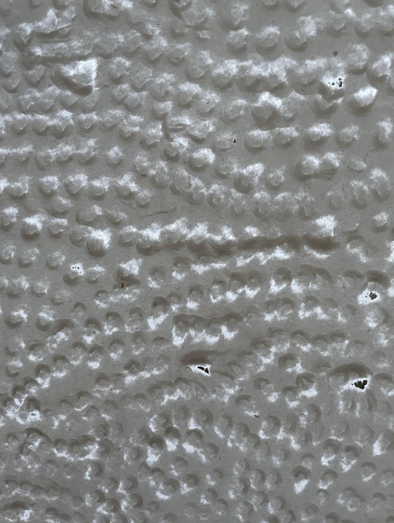 Screenshot 2026-01-31 at 5.40.30 PM.png