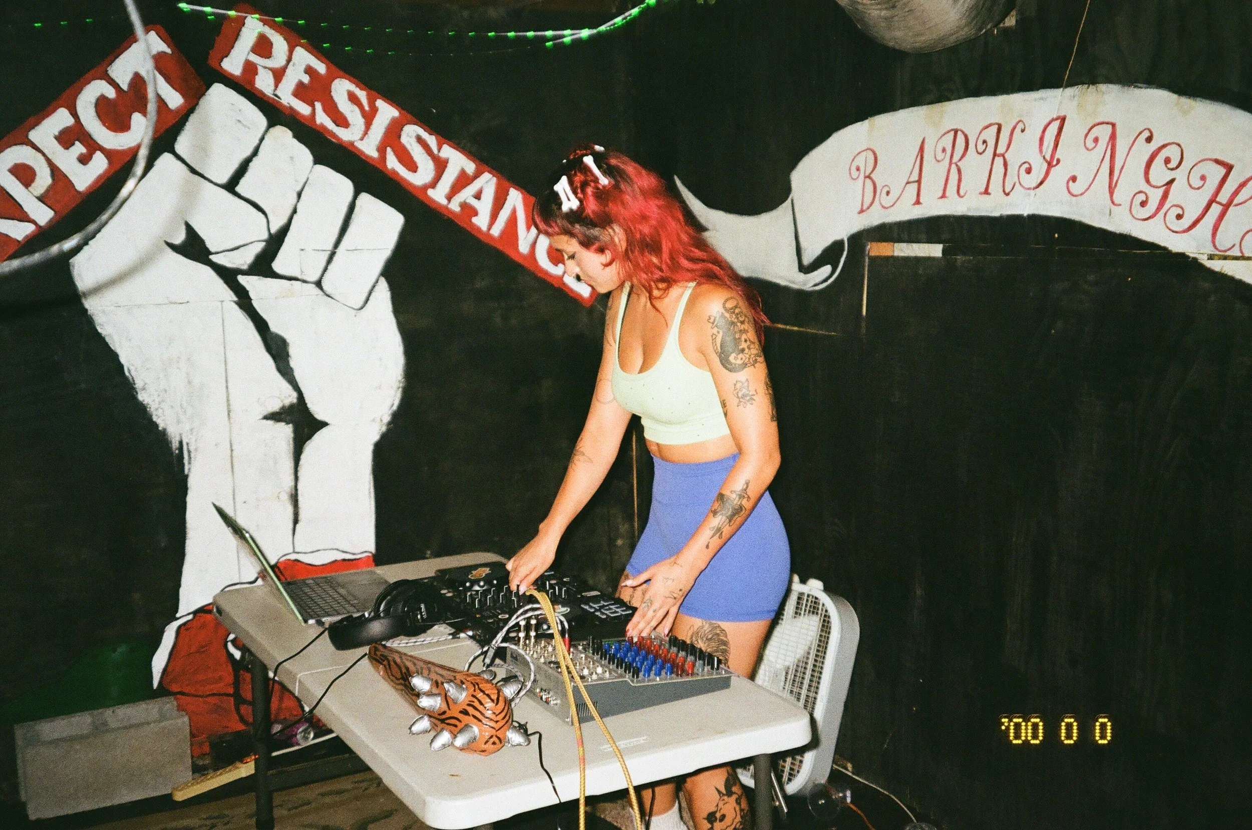 Swamp Puppy, mischievous musical experiences for beautiful girls, hyperpop and tech dj. 