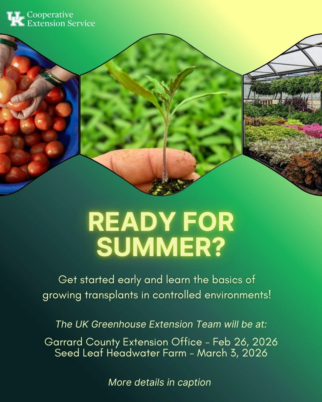 Join the UK Greenhouse Extension group at one of our upcoming talks about plant propagation basics. This is a great way to get started in controlled-environment agriculture methods and improve your chances of commercial success in the main season! We