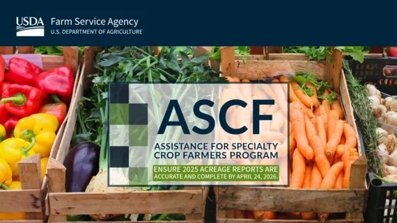 Specialty Crops Acreage Reporting Deadline for 2025 is Now April 24
The USDA Farm Service Agency (FSA) today announced the agency is reopening the 2025 crop acreage reporting period required for specialty crop producers who want to apply for the Assi
