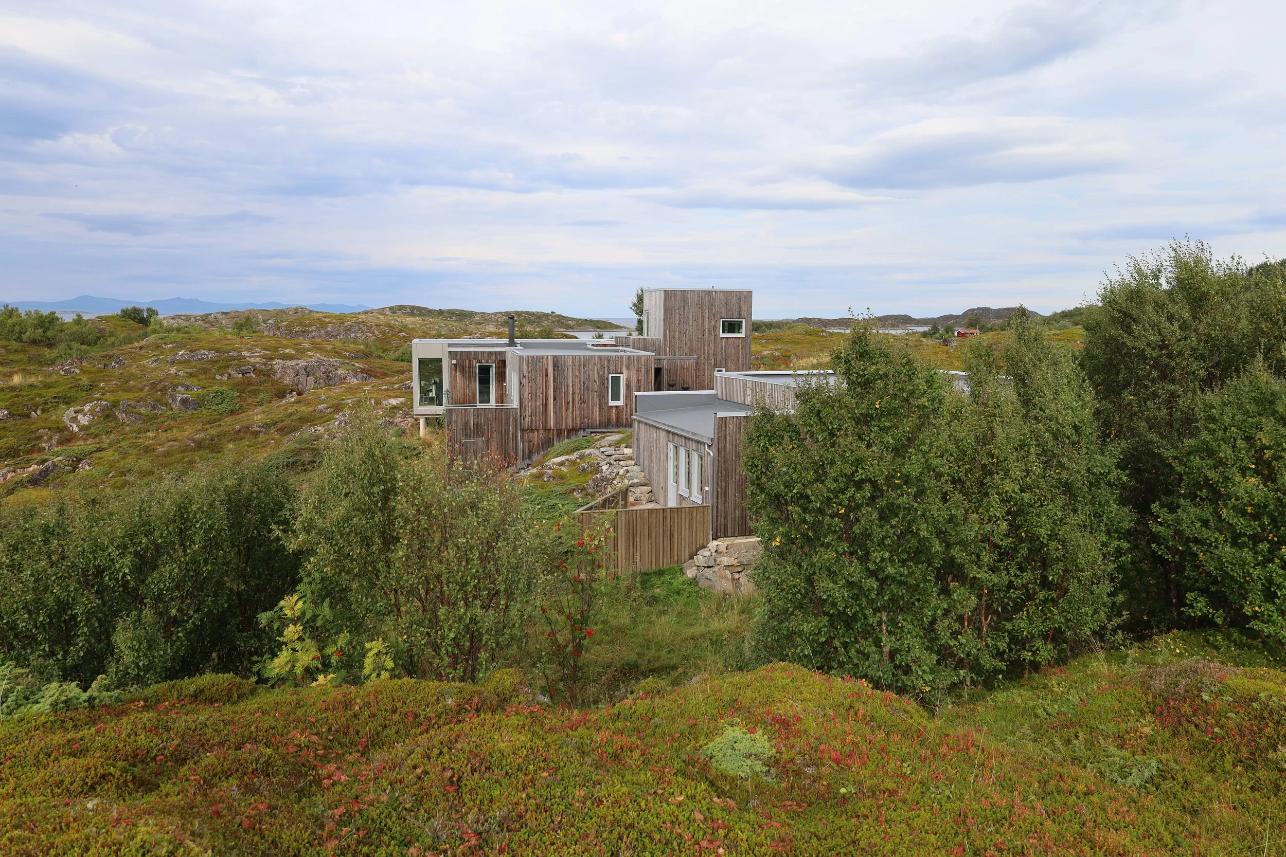 A modern house with multiple sections, made of wood and metal, situated in a natural landscape with bushes and trees, under a cloudy sky.