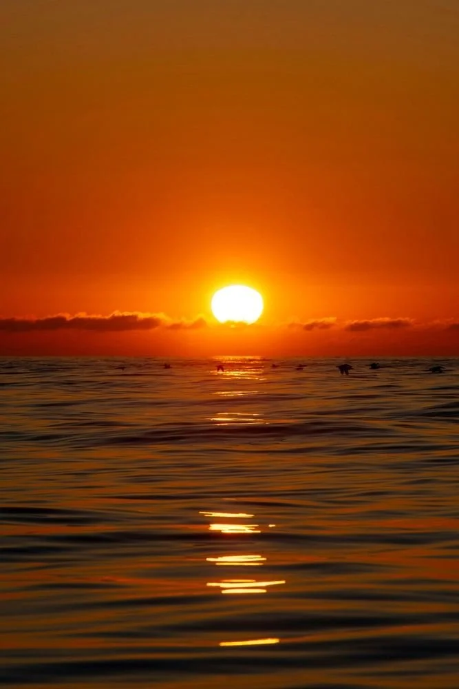 Sea of Cortez Midriff Islands