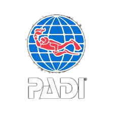 PADI logo featuring a red diver silhouette inside a blue globe with grid lines, and the word 'PADI' in white capital letters below.