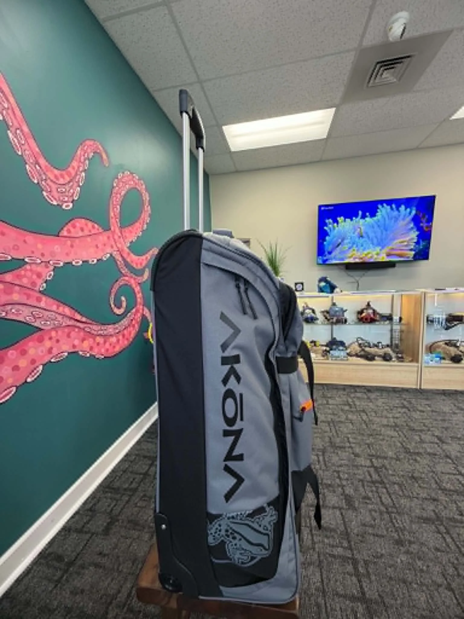 bag2.jpeg