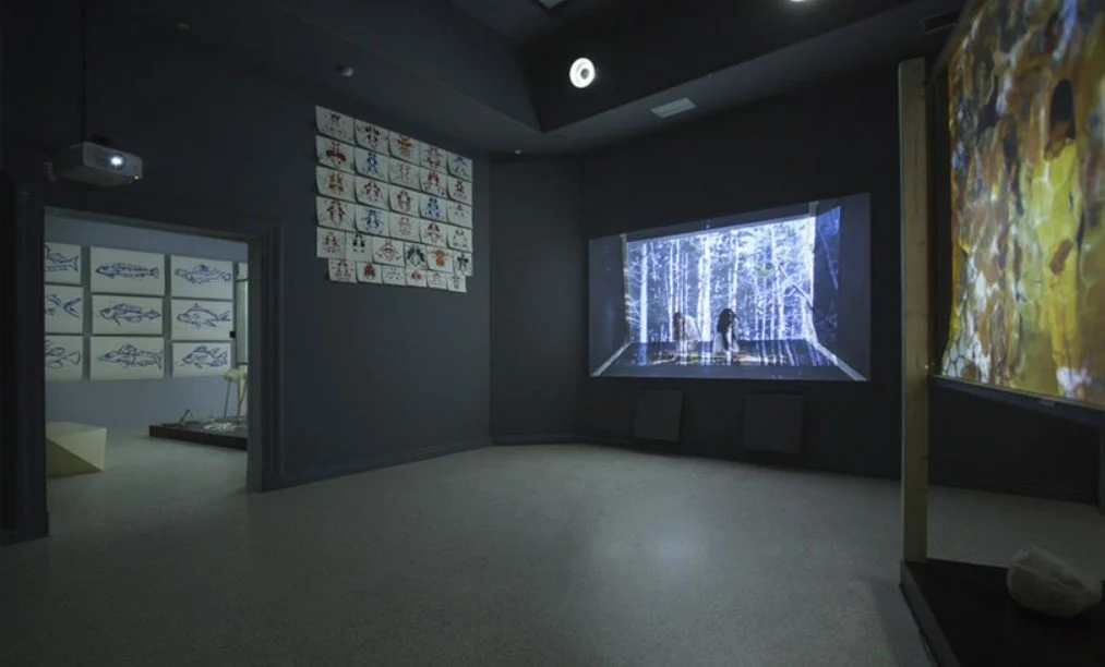 Screenshot 2025-06-28 163313.jpg