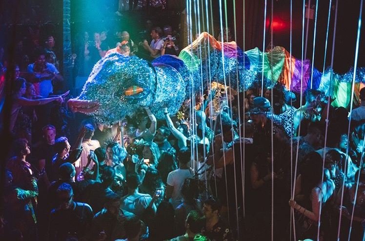 discosnakeshouse of yes.JPG