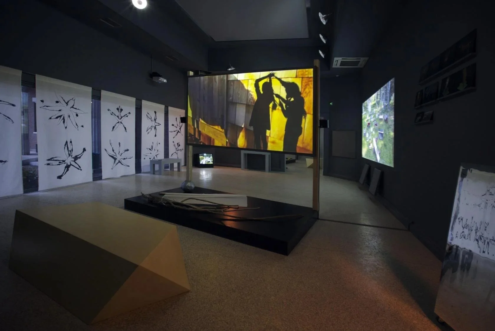 Silkscreen printer for Joan Jonas' "They come to us without a word" installation at the 56th Venice Biennale