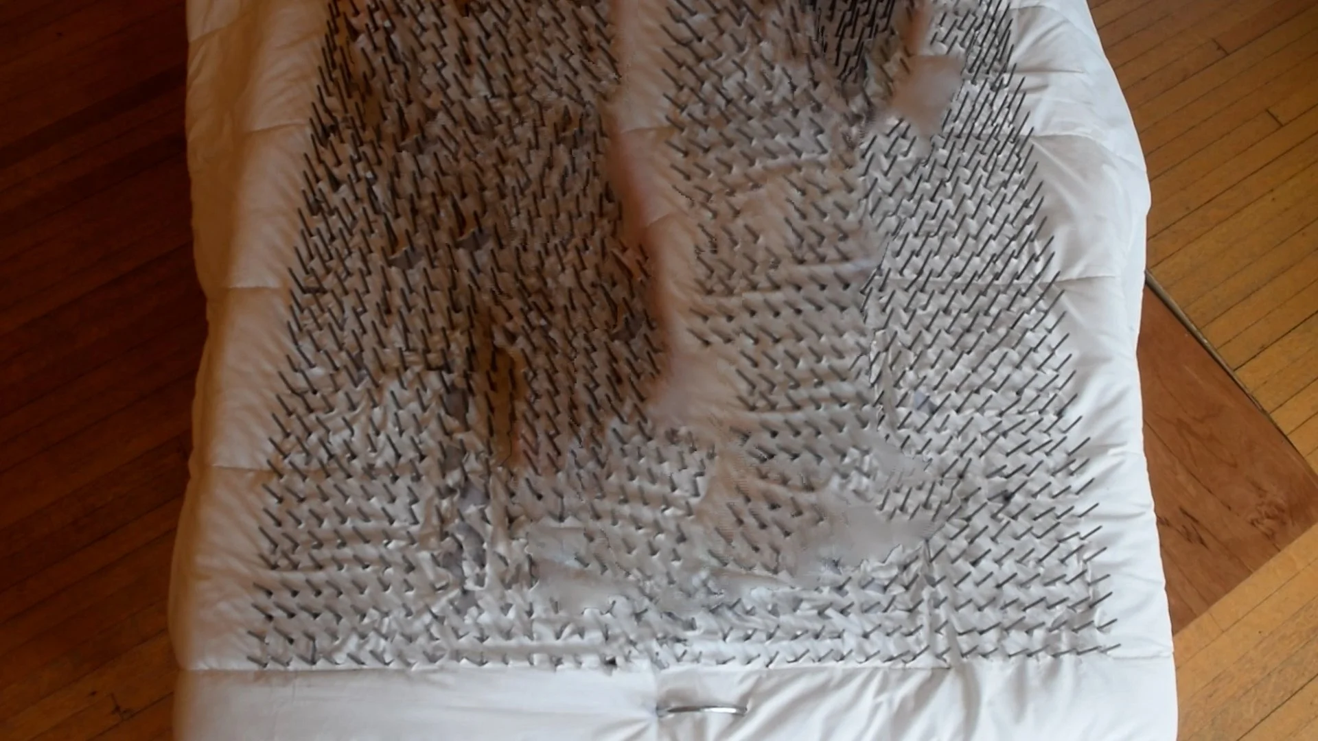 bedofnails4.jpg