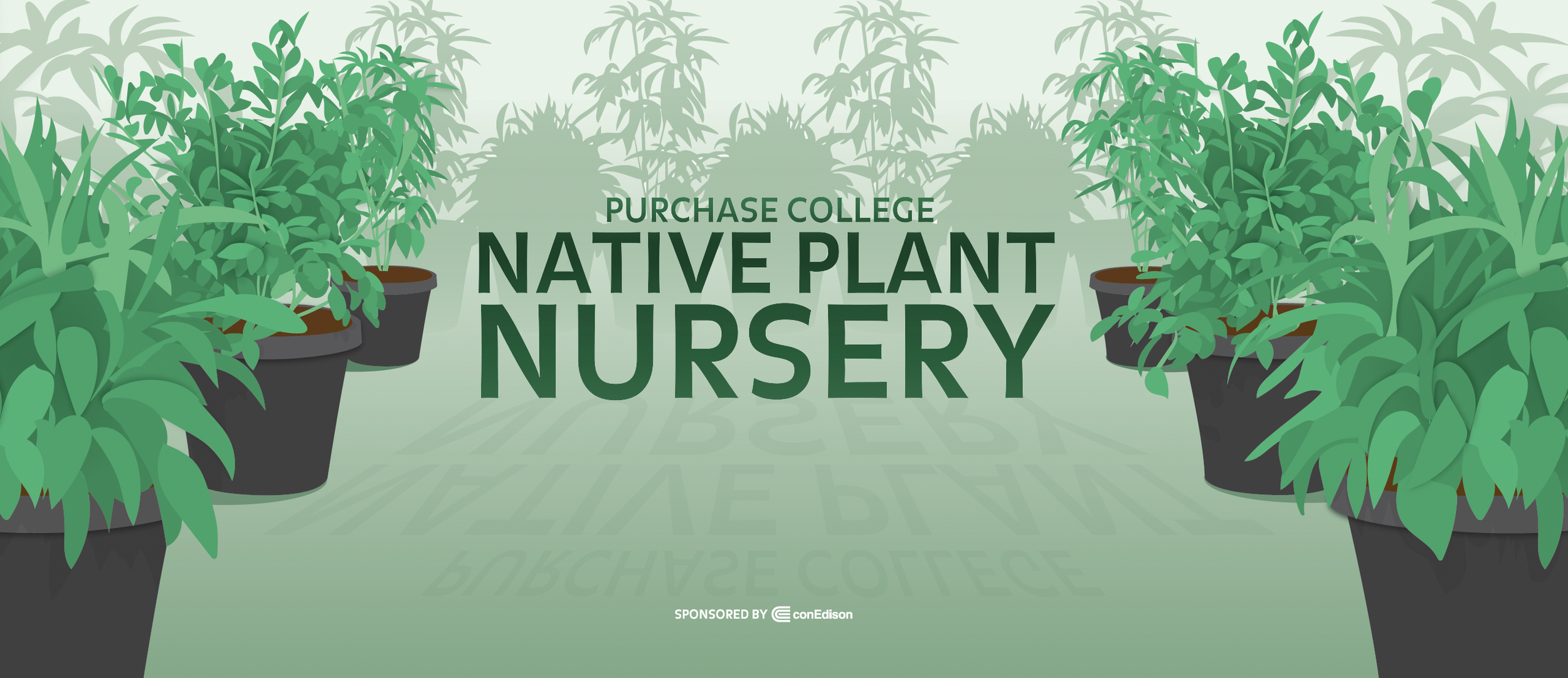 Screenshot 2025-10-04 at 10.17.01 AM.png