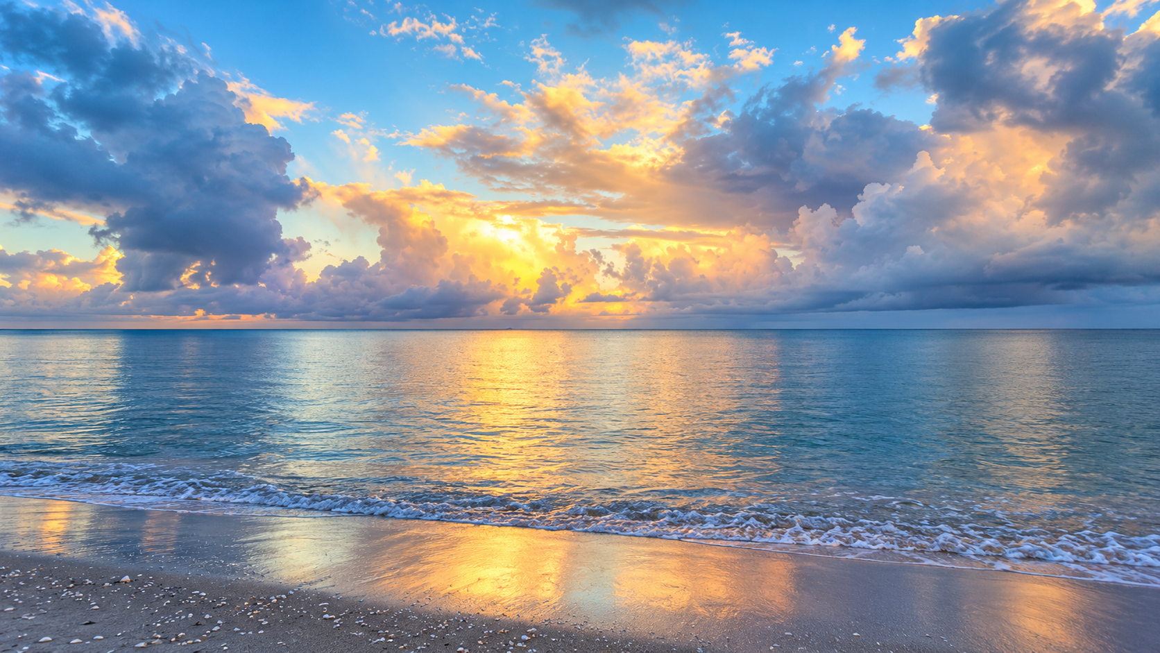 Shoreline Photo.png