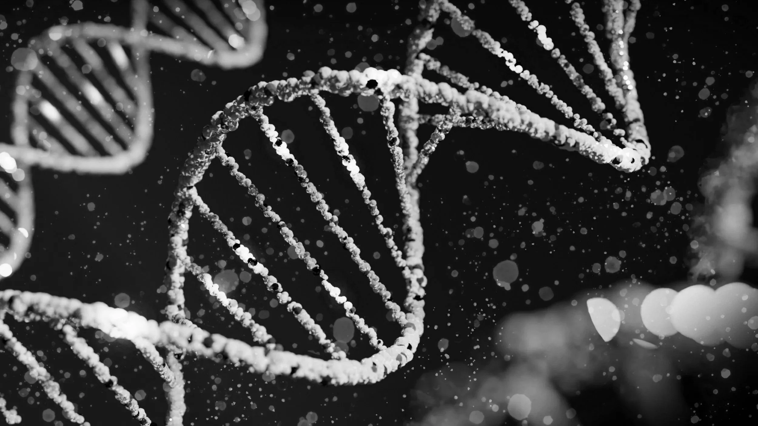 Close-up black-and-white image of DNA double helix structures with a background of floating particles.