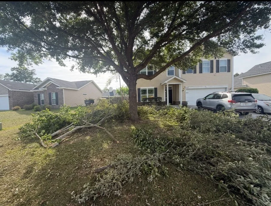From mess to clean in no time 🌲💪
Another property cleaned and hauled off. Fast, reliable debris removal done right.

Before ➡️ After. That&rsquo;s the difference.

#DebrisRemoval #TreeCleanup #SavannahGA #stormcleanup