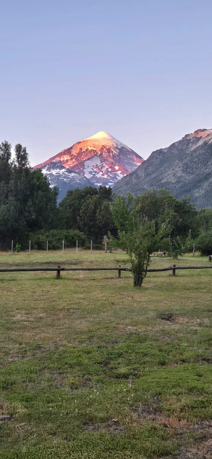 Una vista de un volcán con cumbre nevada y flancos con nieve y roca, rodeado de naturaleza con árboles y césped en primer plano.