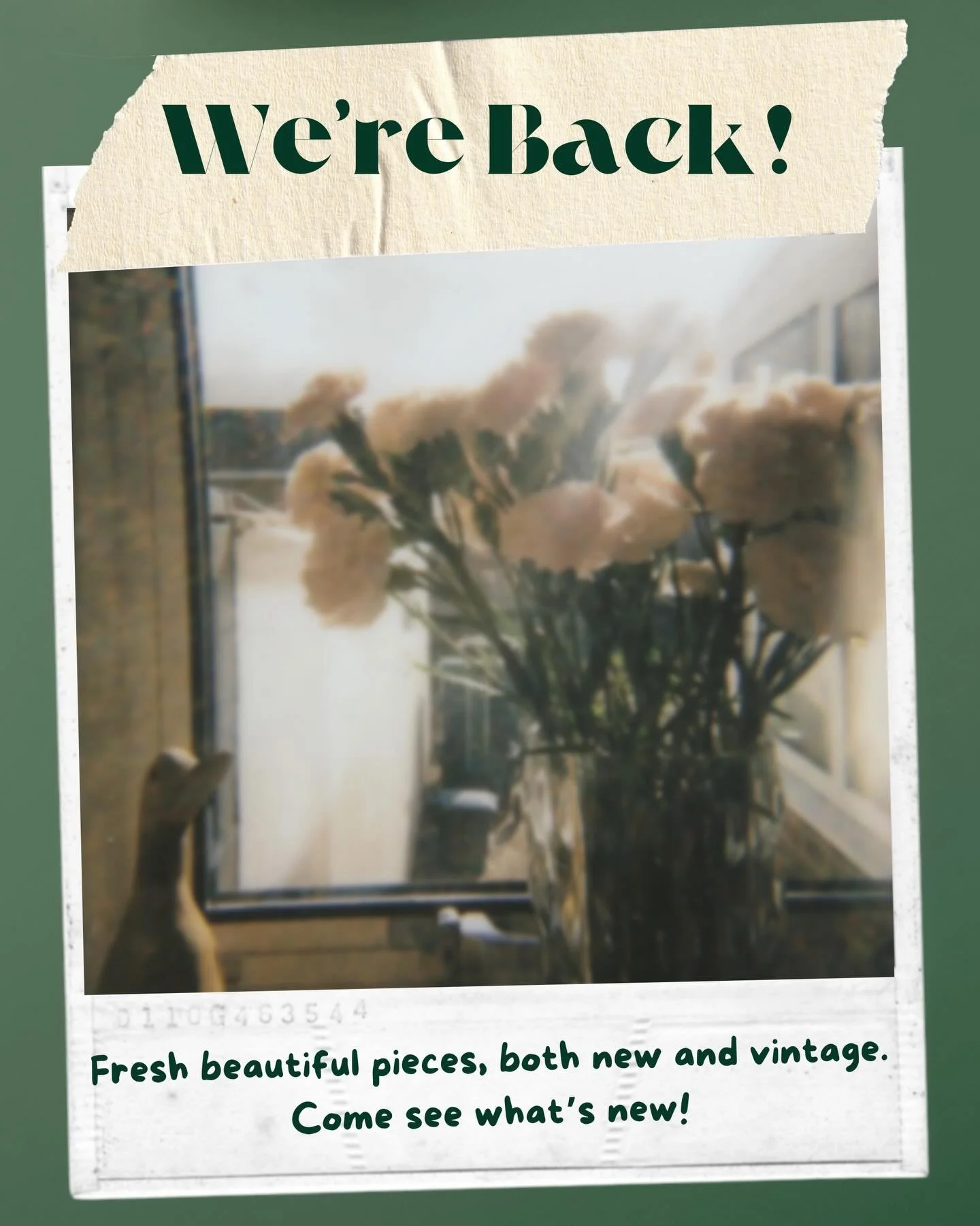 Thank you all for your patience while we spent the week resetting the store!
We&rsquo;re open again with a fresh new floor of fun inventory ready for the new year. ✨
Hope to see you soon!
.
.
#victoryhomeboise #boiseidaho #shopsmallboise #boisemoms #