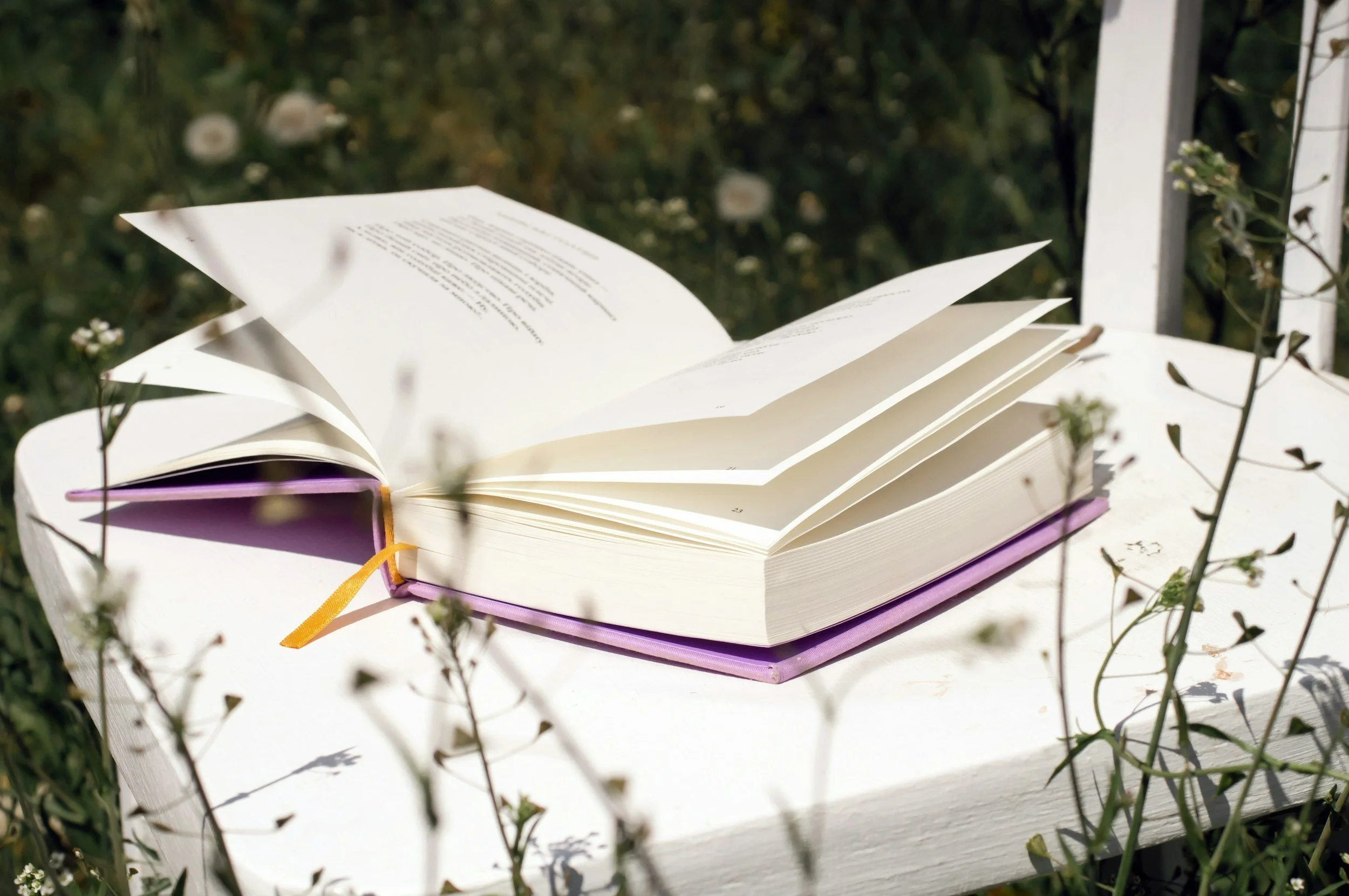 Memory Games &amp; Reading Outdoors