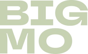 About | How Big Mo Helps Students Plan Your Future — Big Mo