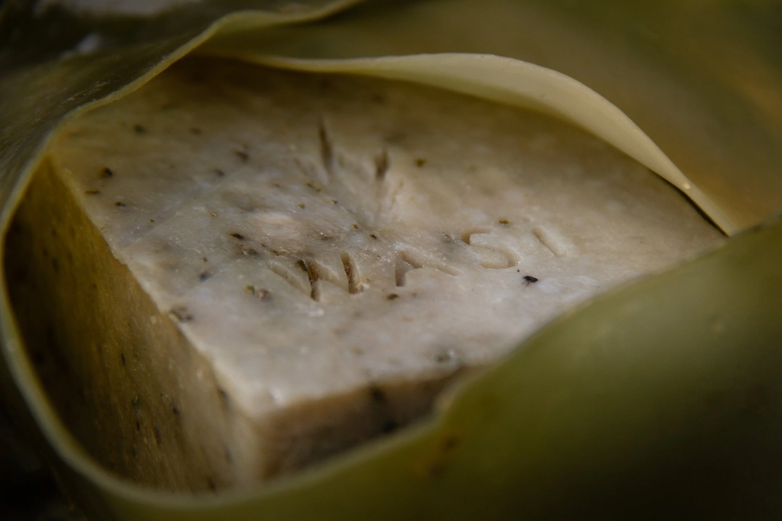 Soap in Seaweed 2.JPG