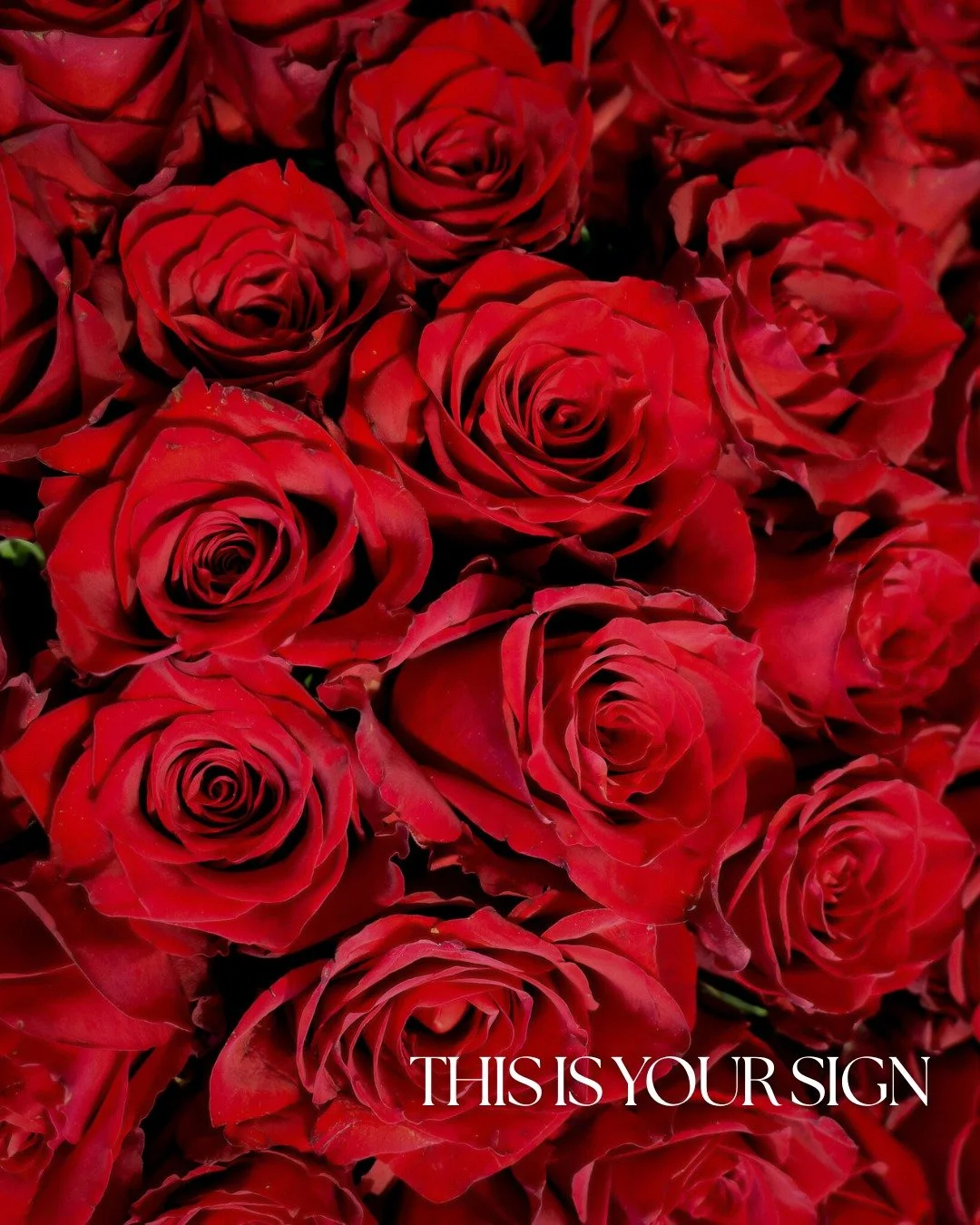 This is your sign to make it unforgettable.

Big roses.
Big moments.

Pre-order yours before they&rsquo;re gone. 🌹
Orders can be placed via DM or WhatsApp | Delivery available.

#PoppyFlowerBoutique #ValentineFlowers #Roses #FloralLove #LimassolFlor