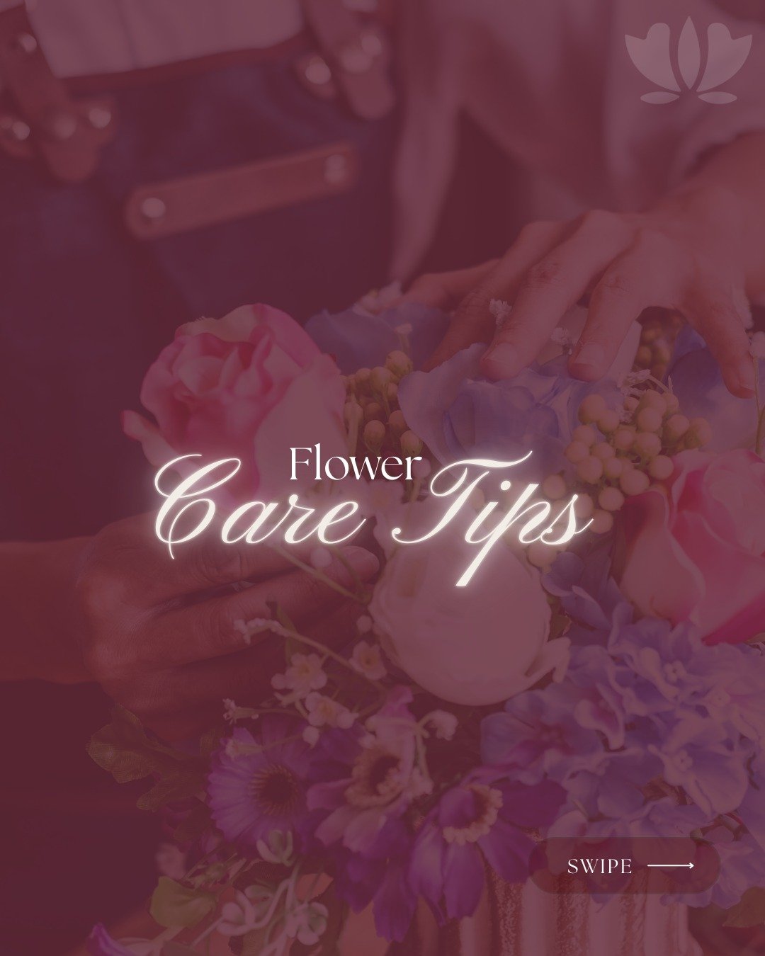 Make your flowers last longer 🌸
A few simple tips, a big difference.
Save this for later &amp; find your flowers at Poppy Flower Boutique or on Wolt.

#PoppyFlowerBoutique #Flowers #LimassolFlorist #springflowers