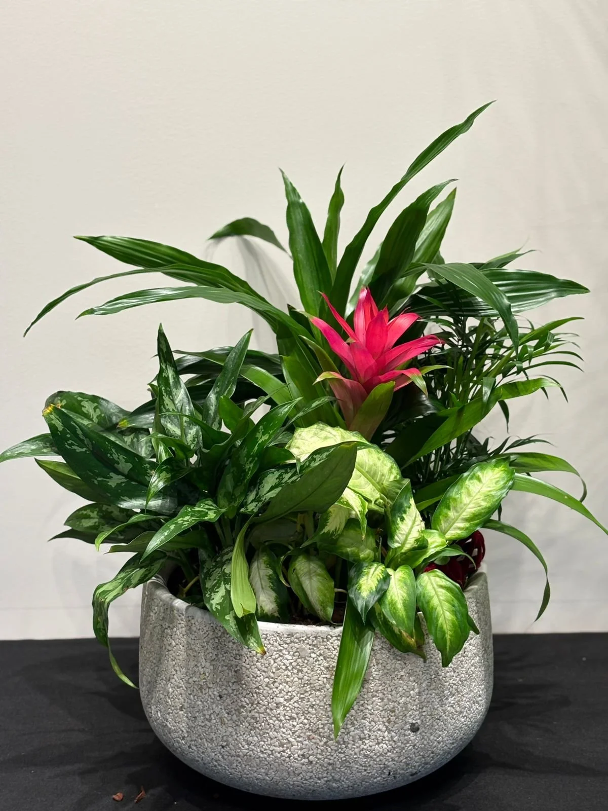 Customisable Plant Creation Set