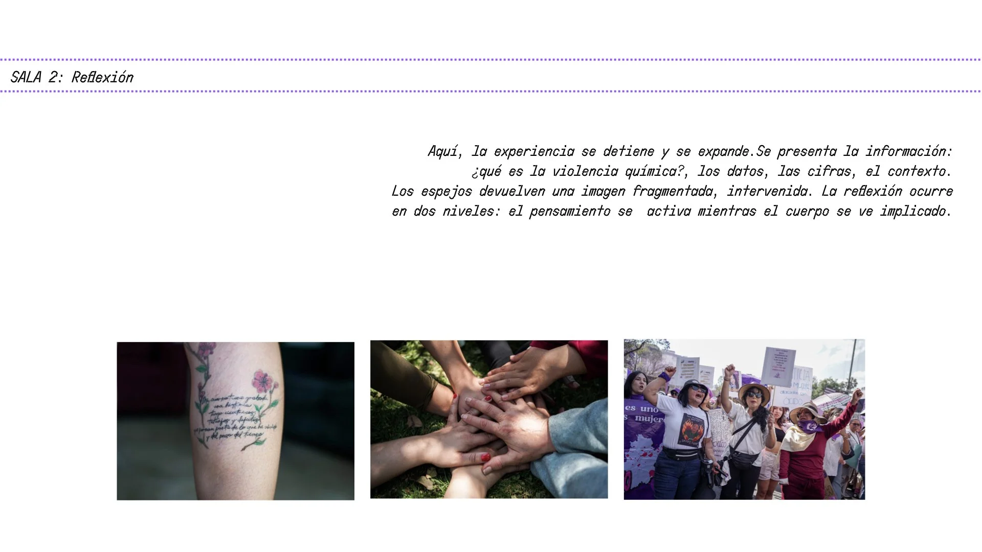 Carpeta curaduría_CFYR_Apolonia Colin_VfFnal.016.jpeg