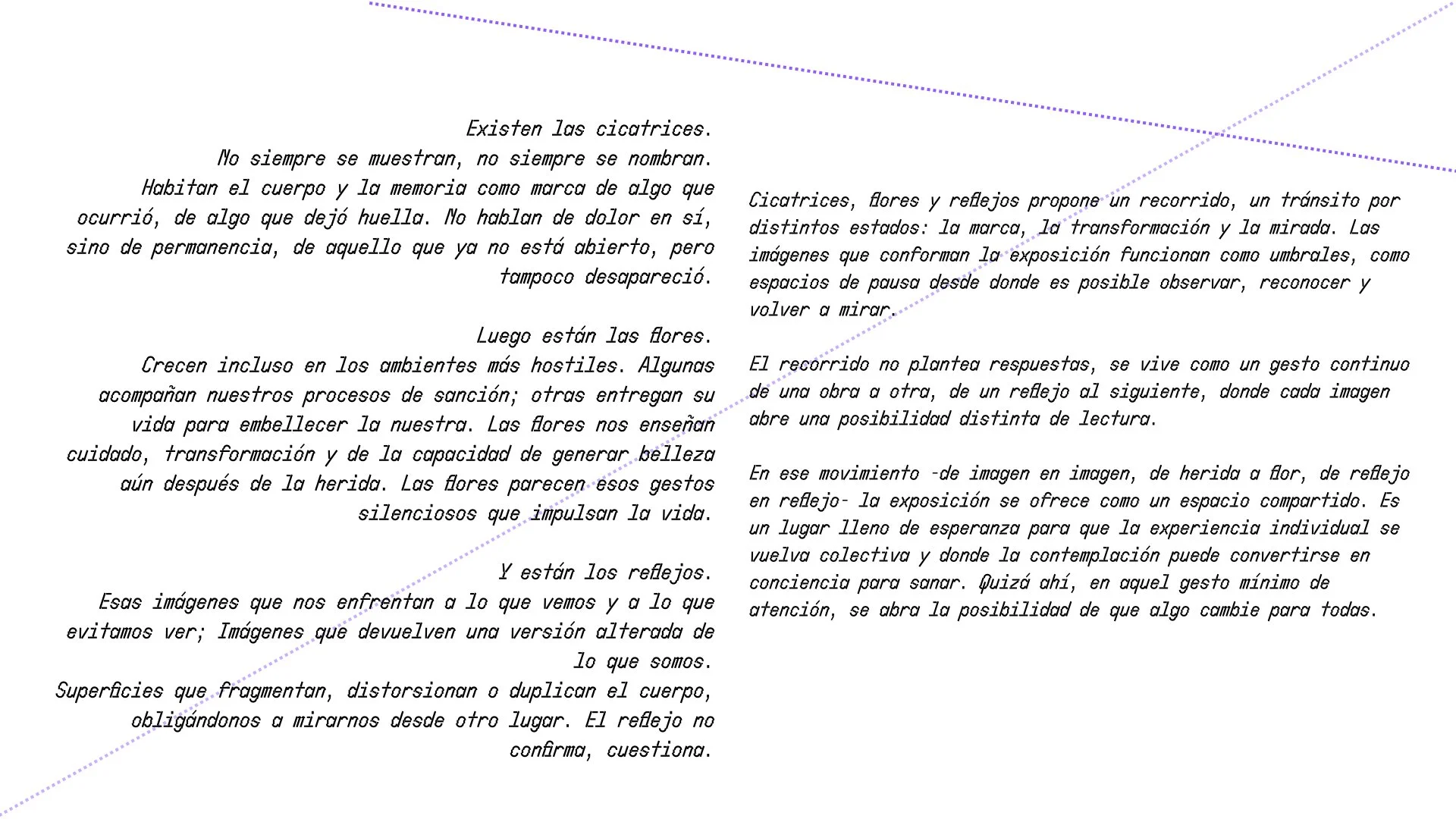 Carpeta curaduría_CFYR_Apolonia Colin_VfFnal.002.jpeg