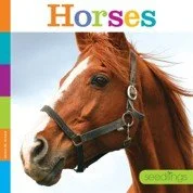 seedlings horses.jpg