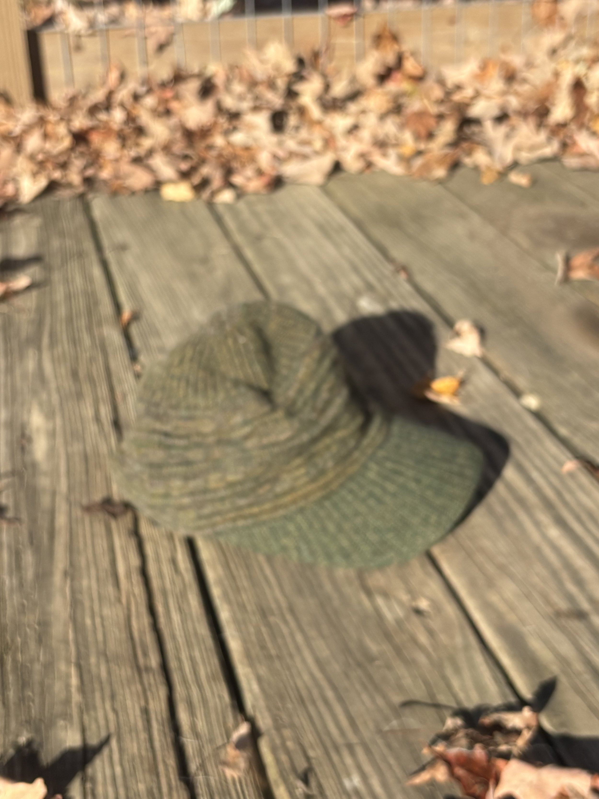 Green 1.jpeg