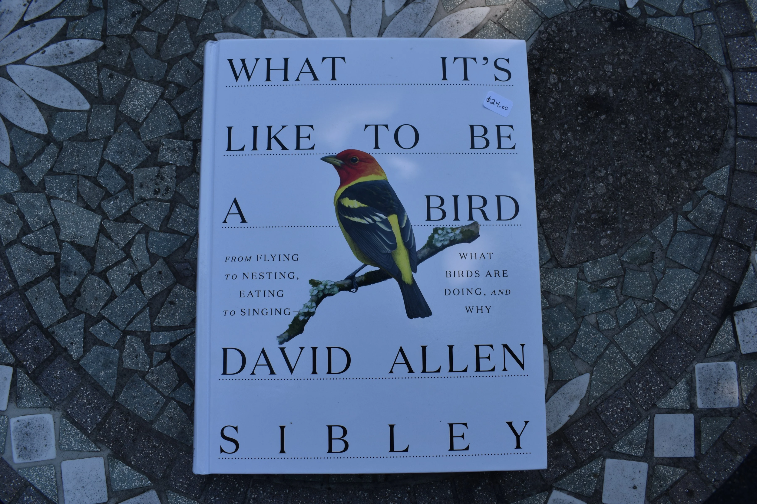 DSC_1078.png