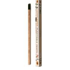 pencil sunflower.png