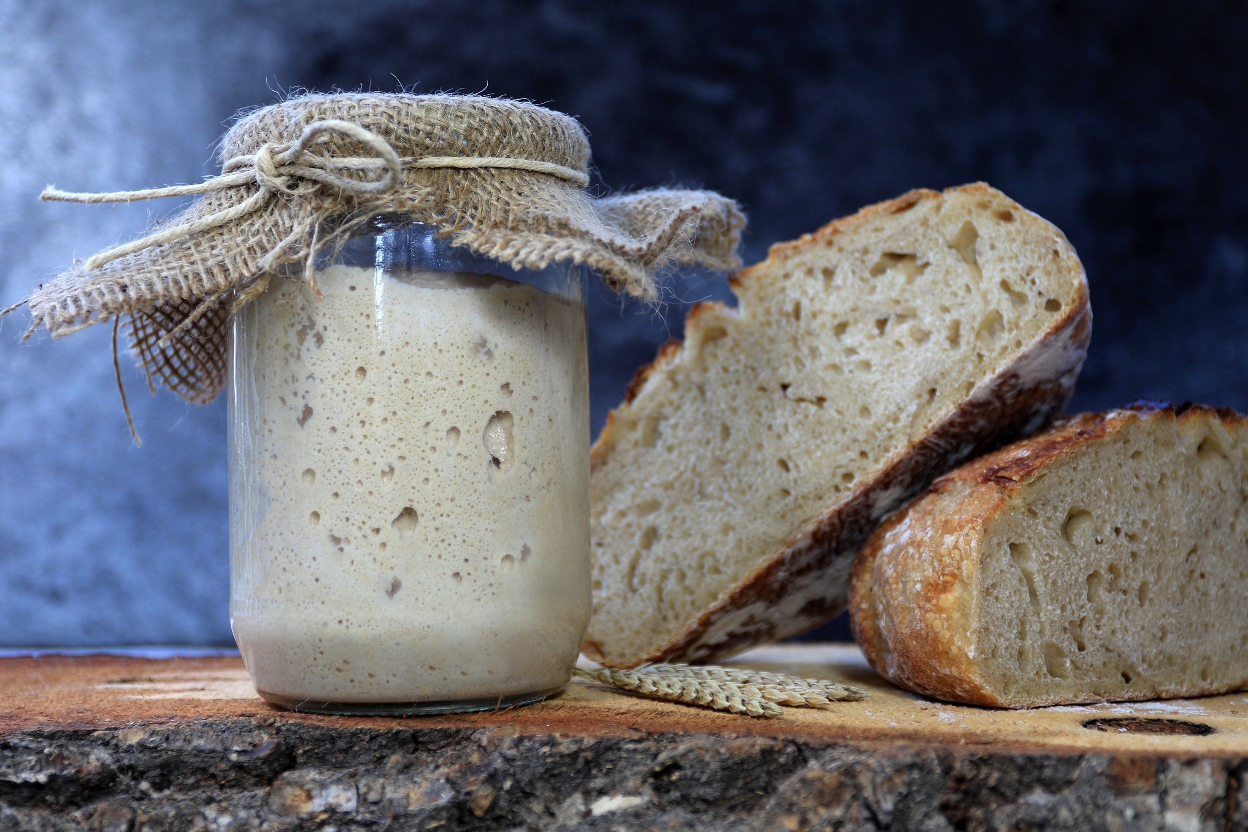 Reviving Your DaisyFields Farm Sourdough Starter