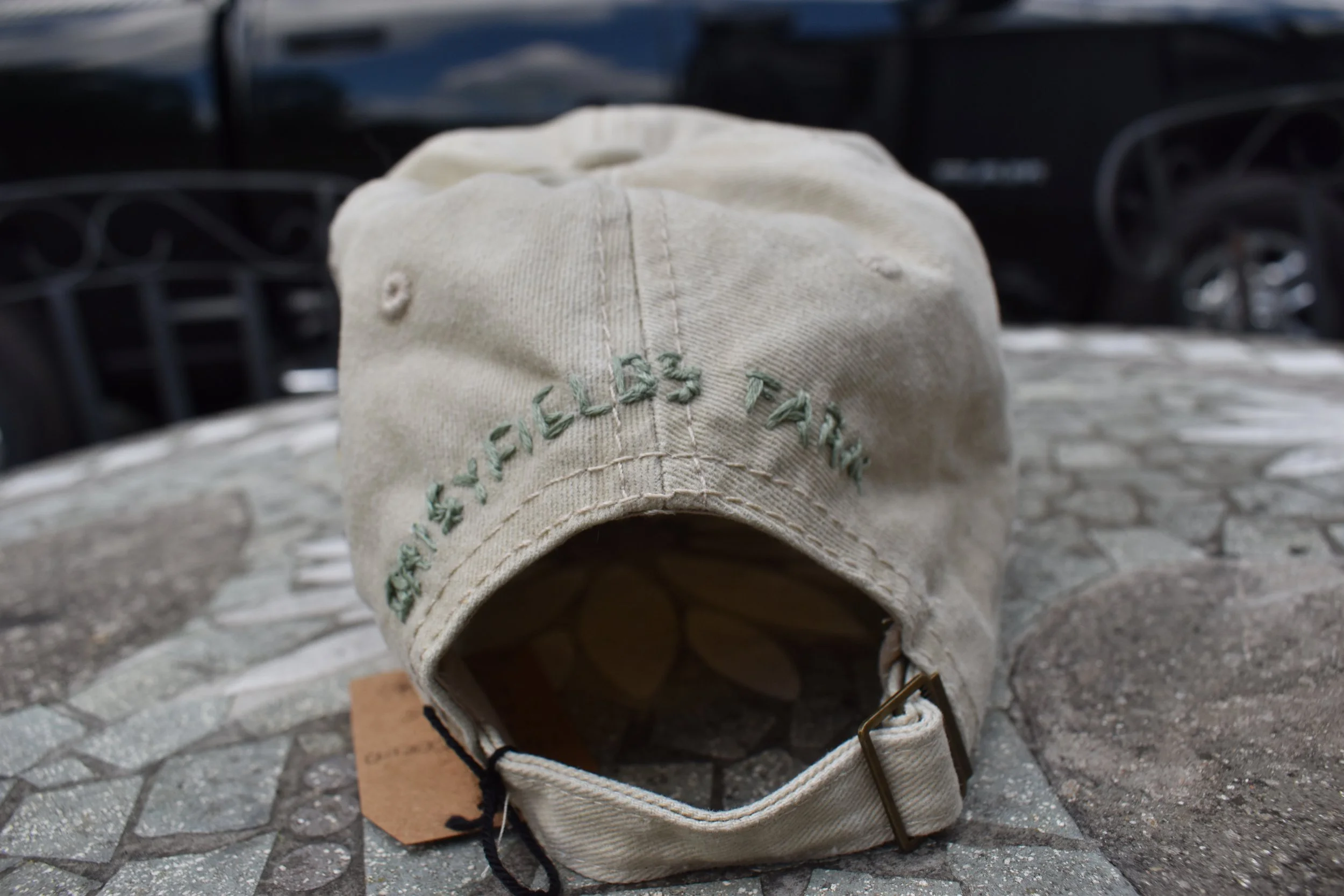 DSC_1178.JPG