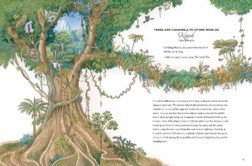 Universe is a tree 3.jpg