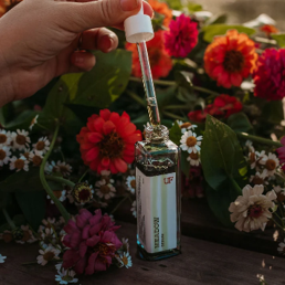 Meadow Serum 2.png