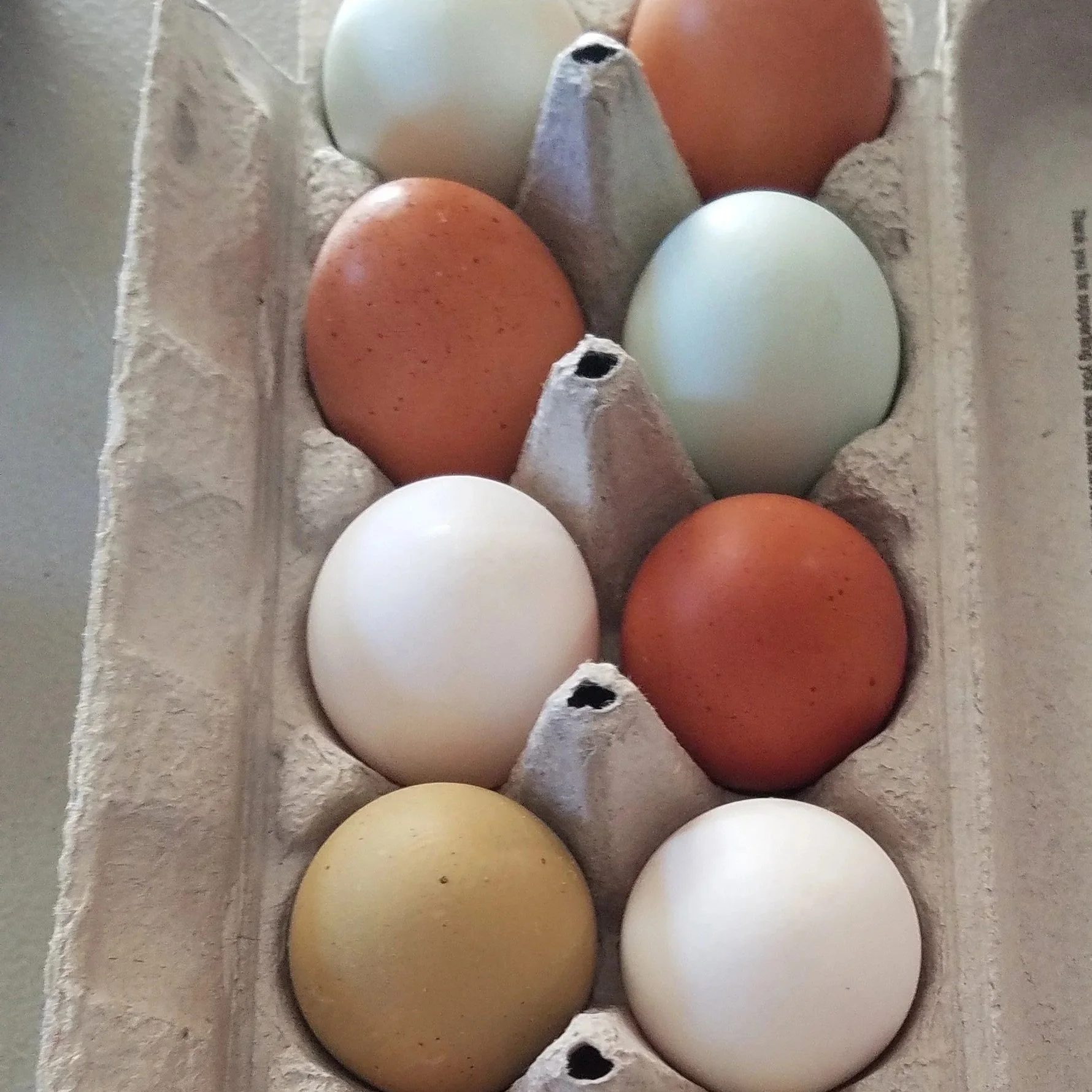 Eggs1-28-2021.jpg