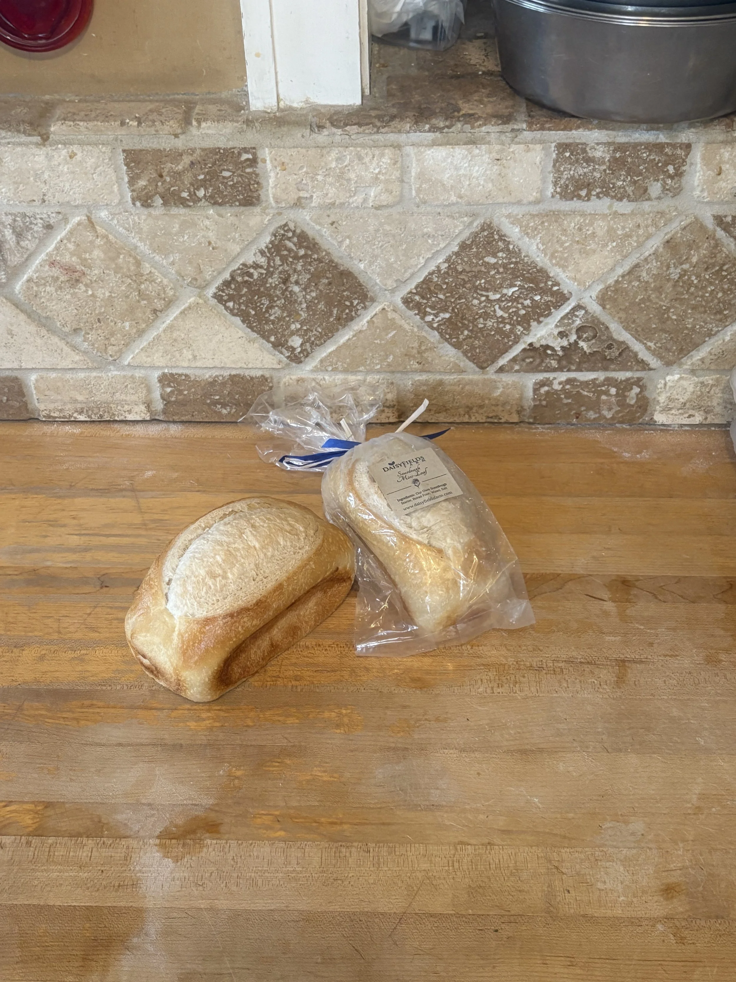 Sourdough Mini-Loaf