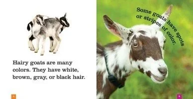 gwm+goats+2.jpg