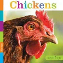 gwm chickens.jpg