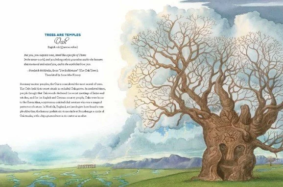 Universe is a tree 2.jpg