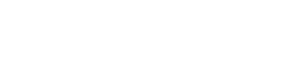 BRANDIRS