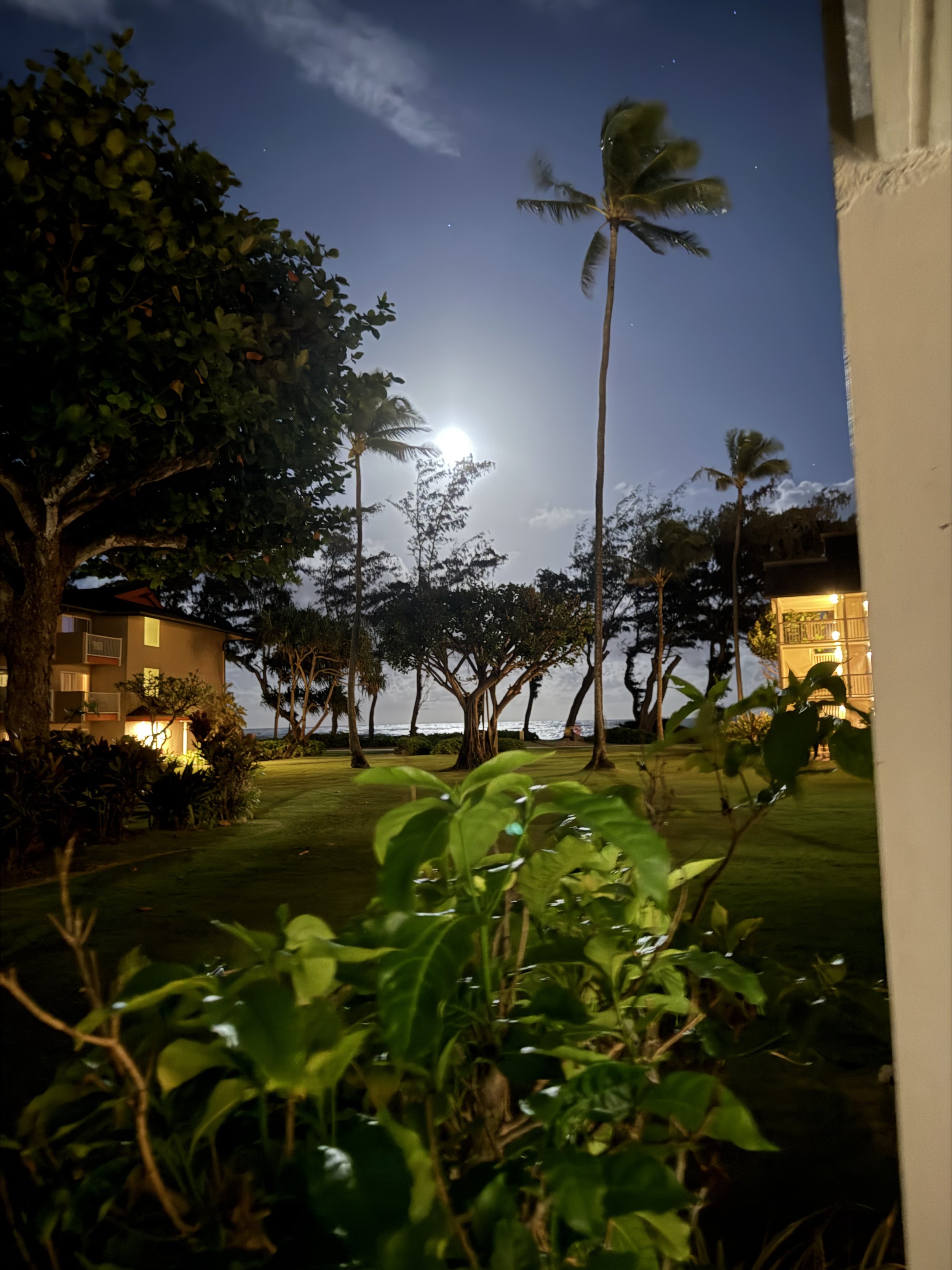 We Asked the Land, and Kauai Said Yes