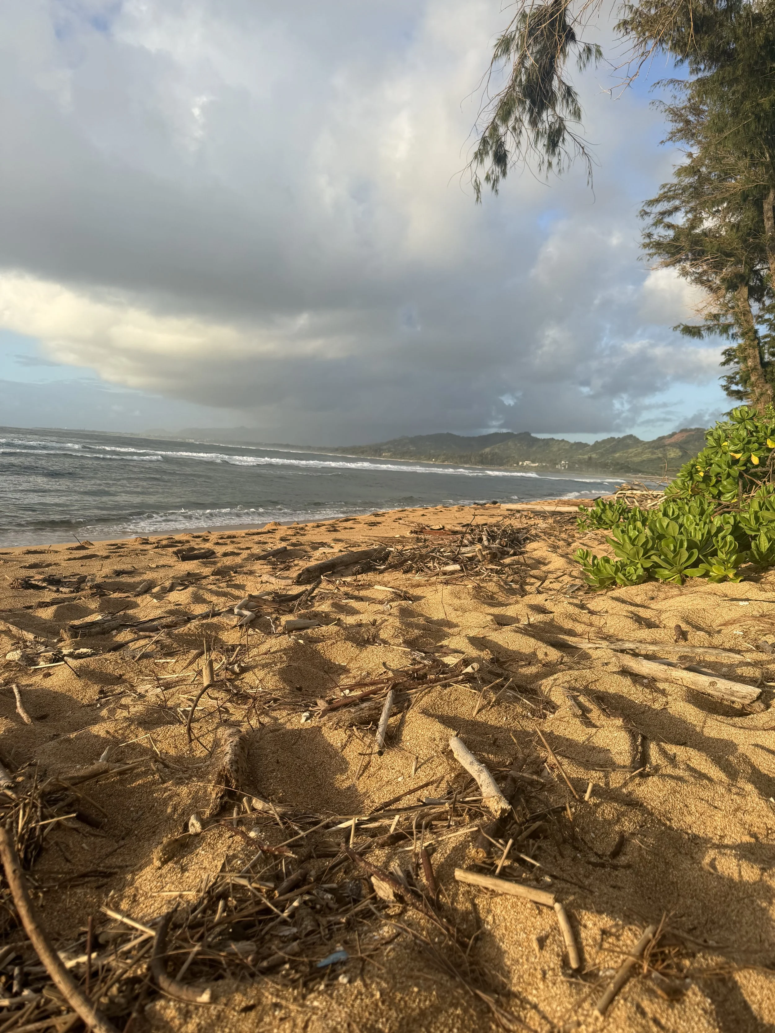 Sandy beach with scattered driftwood and green bushes in the foreground, ocean waves in the midground, and clouded sky with some blue patches in the background, along with distant mountains.