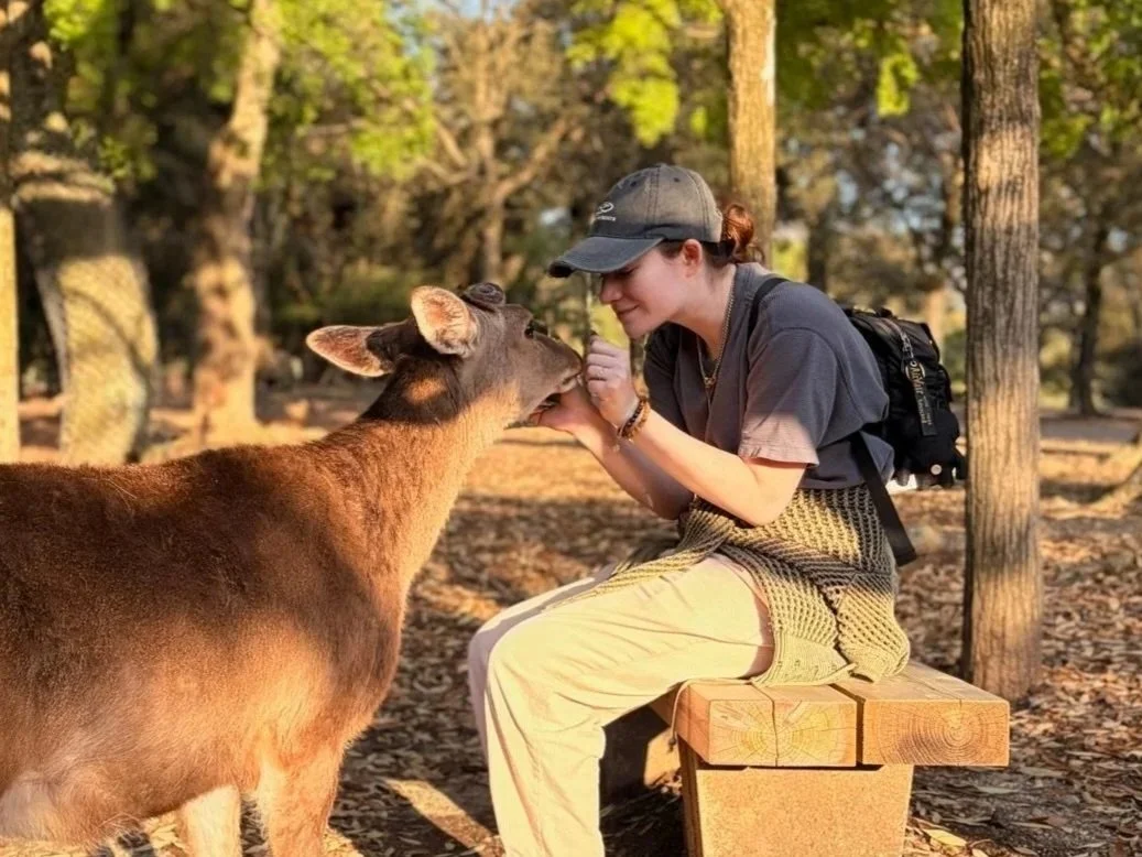 Sophie Conklin in Nara Park with a deer in Japan.