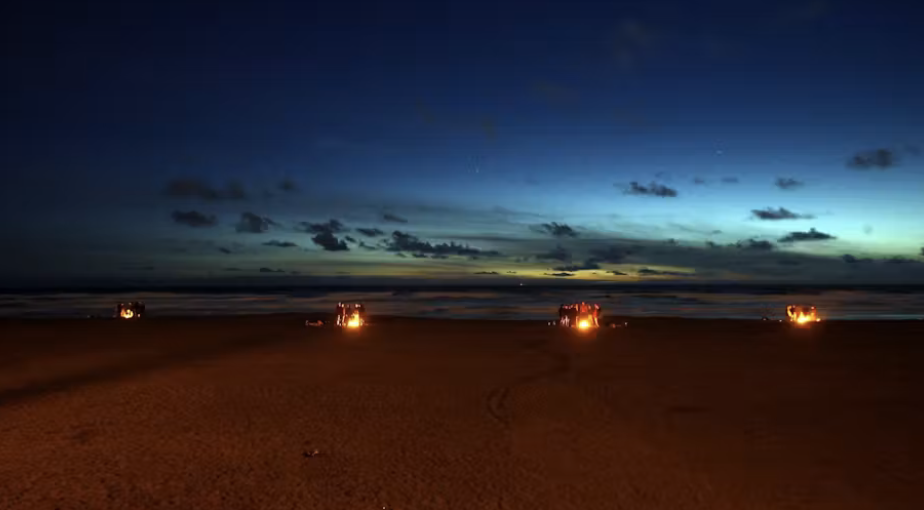 PLUR Pups Bonfire & Beach Rave