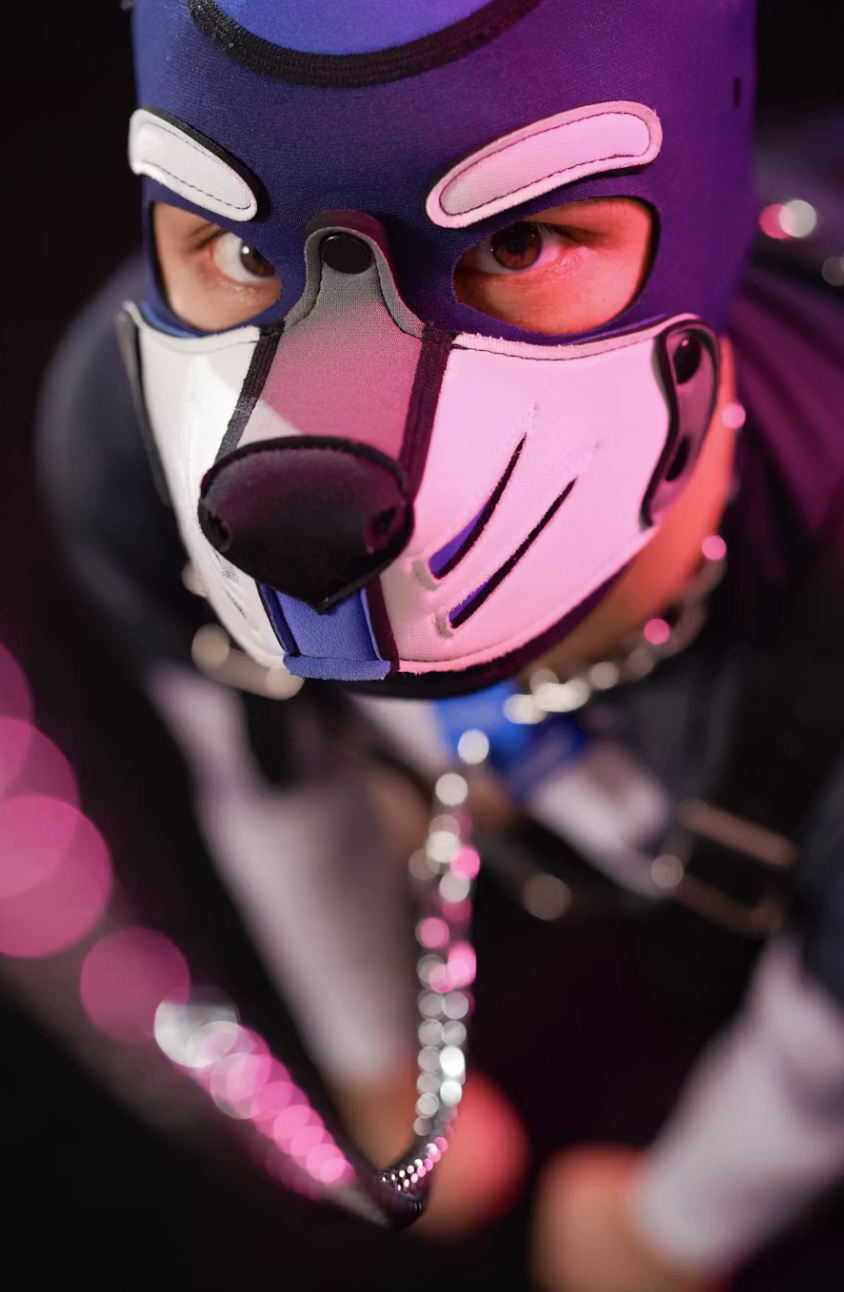 Dore Pup Pix & Play
