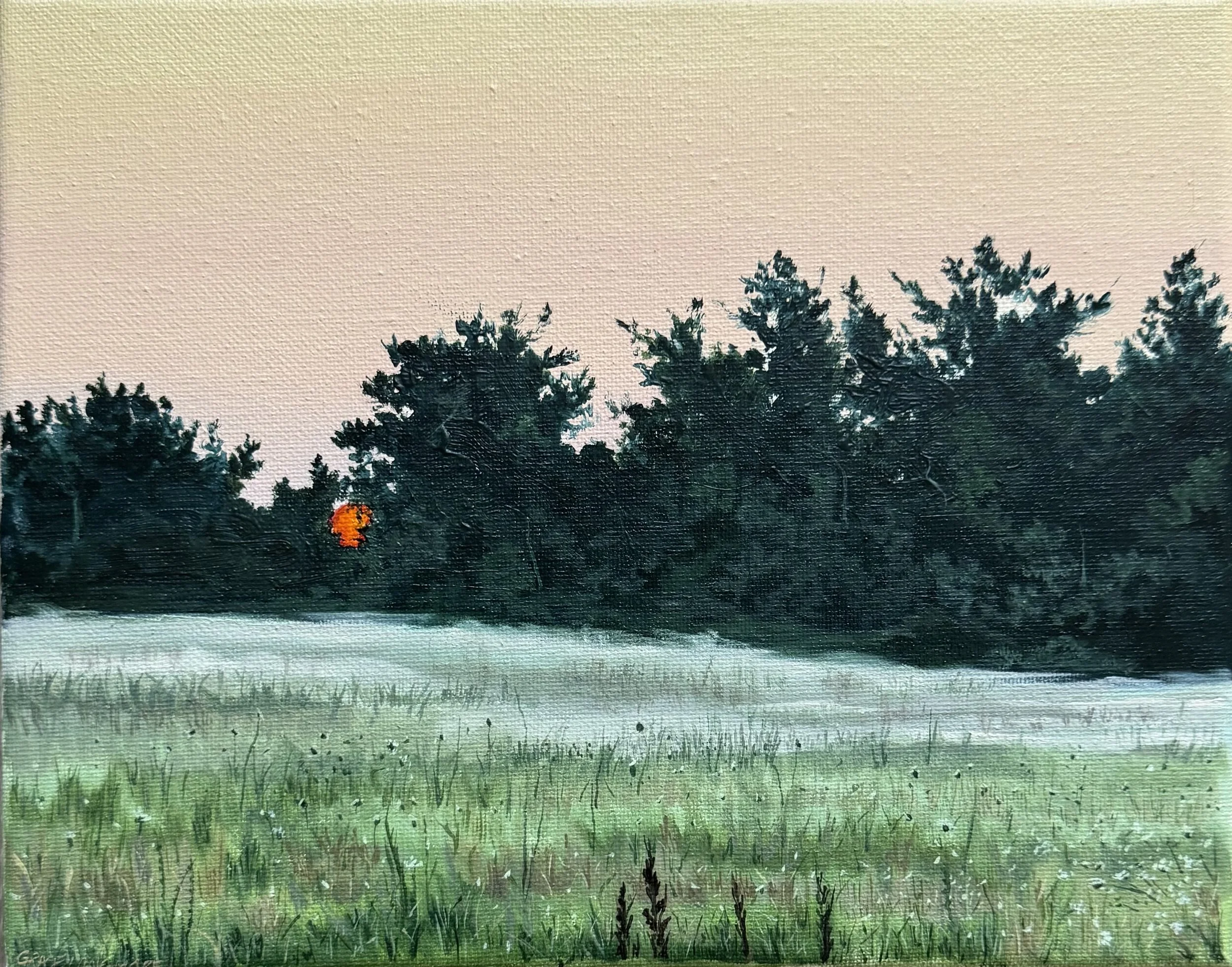 Mist Over Wildflowers, a 9x12 inch original oil painting by Grace Longmore featuring a misty sunrise over a Vermont wildflower meadow.