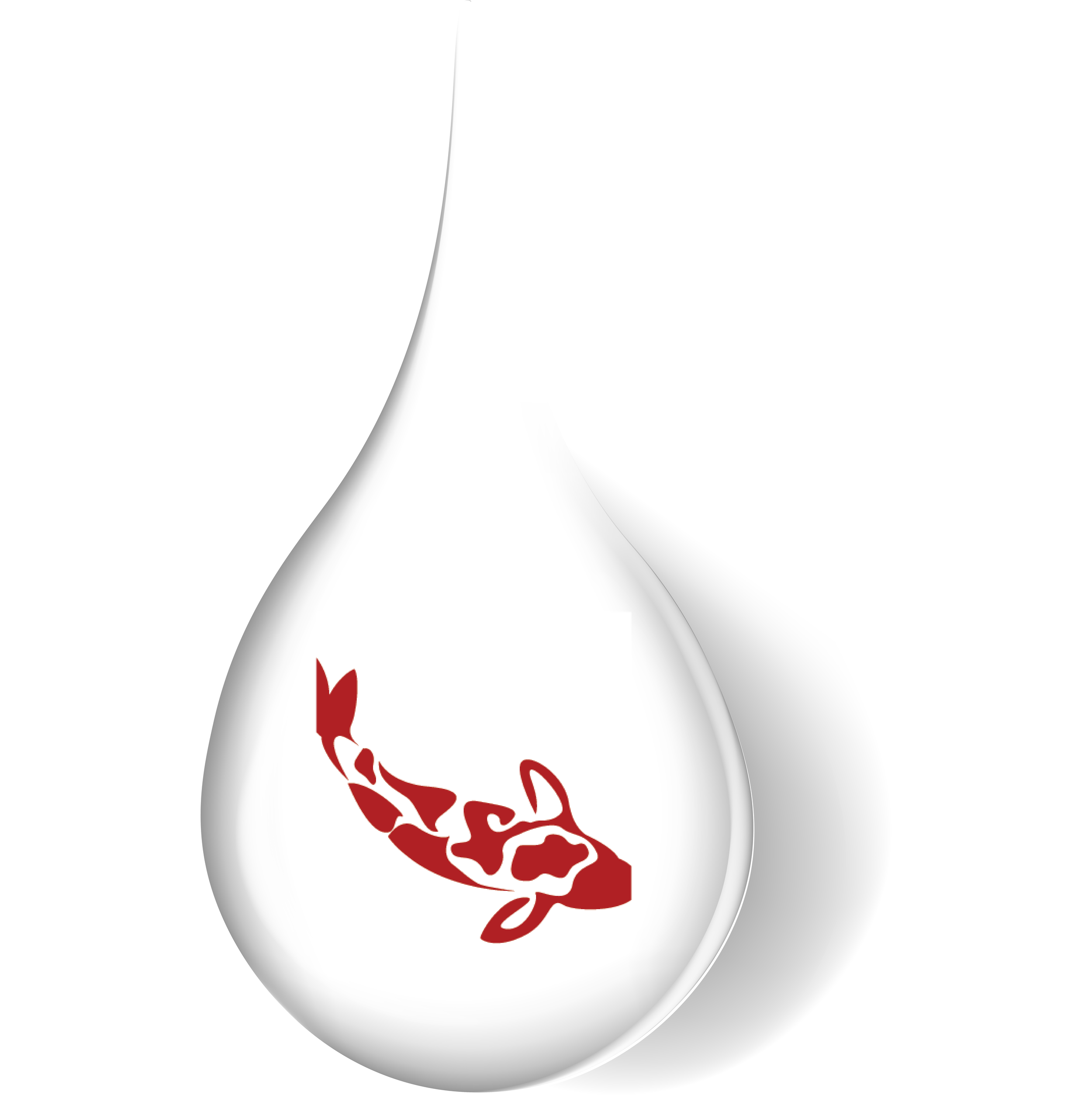 Hydration System